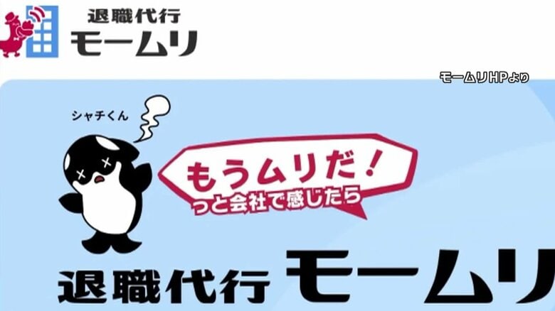 依頼者1人紹介ごとに「モームリ」側へ1万6500円の紹介料か…男性弁護士2人を書類送検へ　紹介料とは別の名目で振り込みか｜FNNプライムオンライン