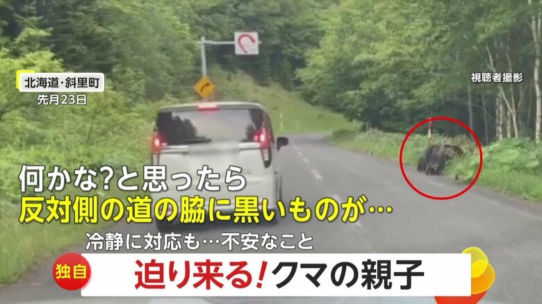 【独自】迫り来るクマの親子チラリと見つつ1mの距離を通過　環境省「むやみに停車せず車から降りない」　北海道｜FNNプライムオンライン