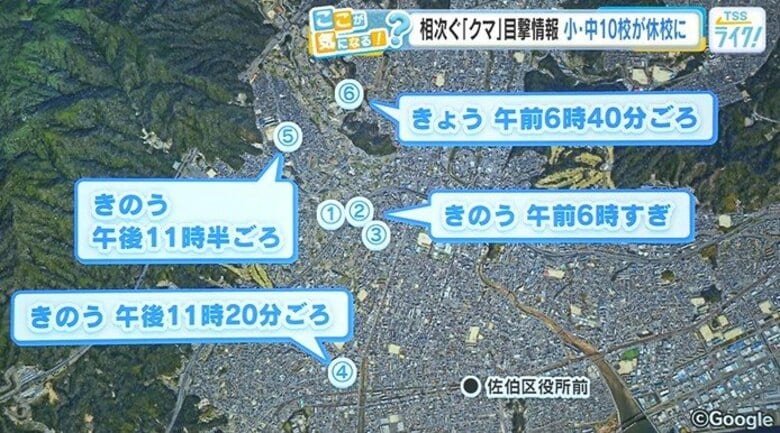 きのうから「クマ」の目撃情報は６件　学校関係者は「より現実的な想定に見直す」　広島市｜FNNプライムオンライン