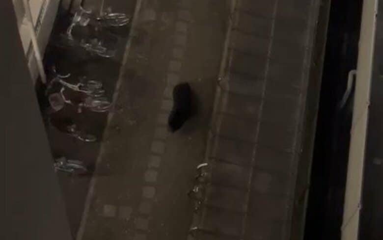 【速報】仙台市中心部のマンションにクマ　敷地内に居座る　警察や猟友会が対応も緊急銃猟できず｜FNNプライムオンライン