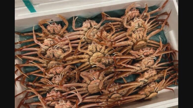 少なくとも2663点を販売…スーパーで別の種類のカニを「ずわいがに」と表示 再発防止等求める行政指導｜FNNプライムオンライン