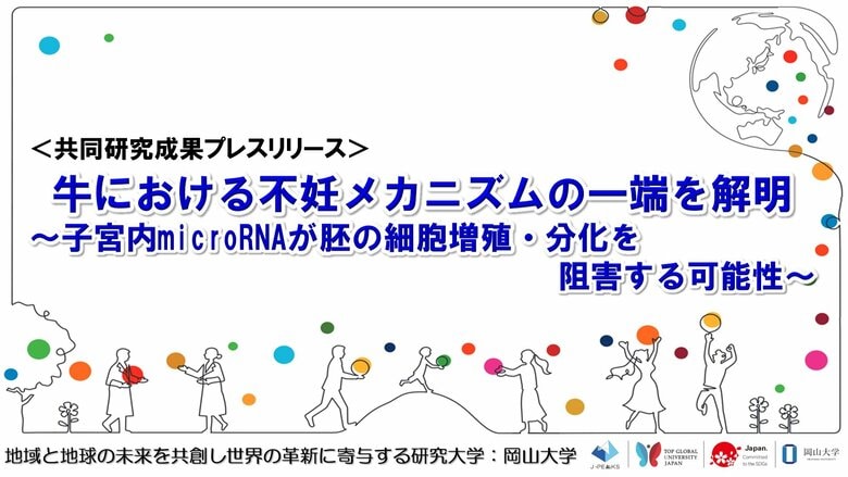 牛における不妊メカニズムの一端を解明~子宮内microRNAが胚の細胞増殖・分化を阻害する可能性~〔名古屋大学、岡山大学〕
