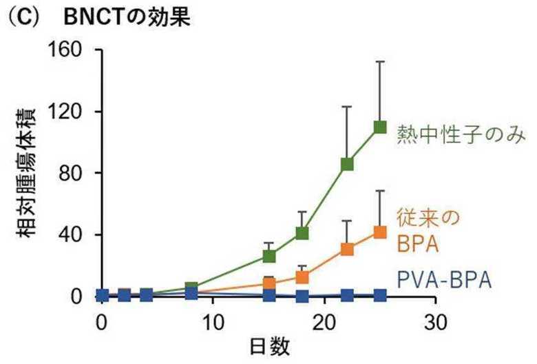 縦軸は元の腫瘍の大きさを1とした数値 出典:東京工業大学