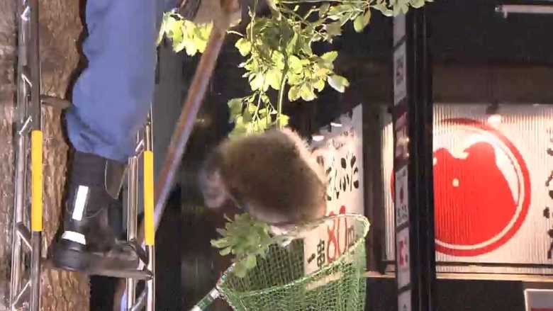 ついに捕獲!?と思いきや・・・