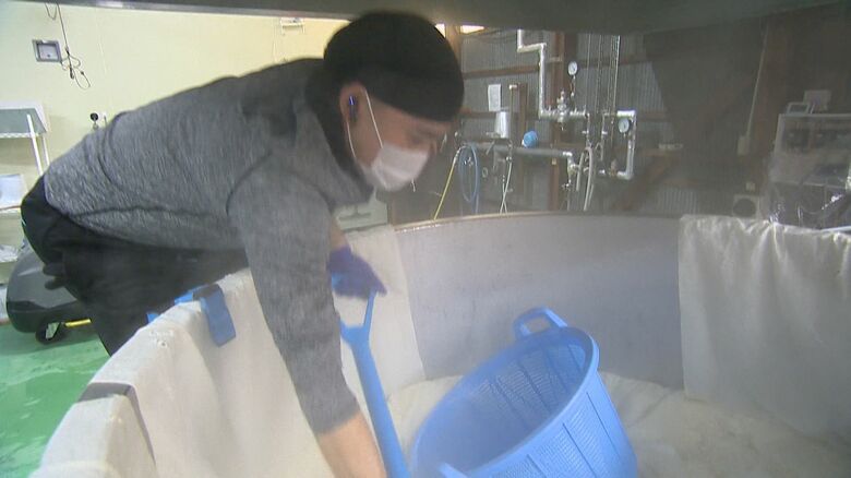 酒蔵「阿部酒造」