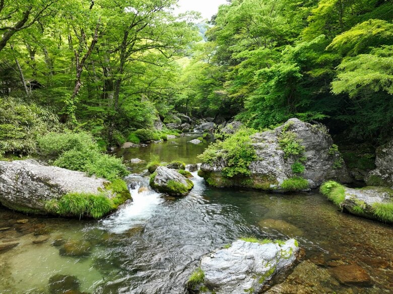 画像はイメージ