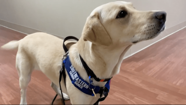 フロリダ州サラソタ市ドクターズ病院で任務中