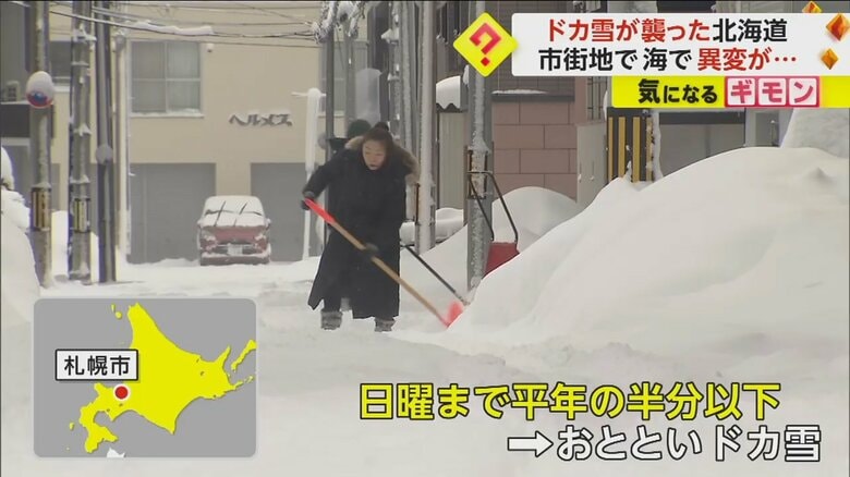 道路の雪かきをする人たち