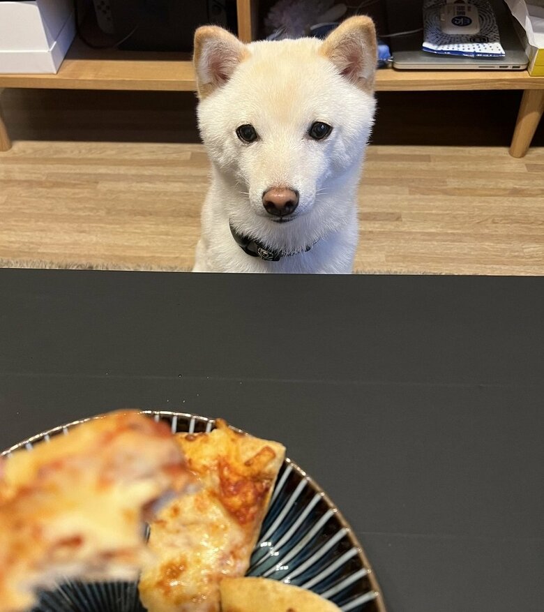 おいしそう…