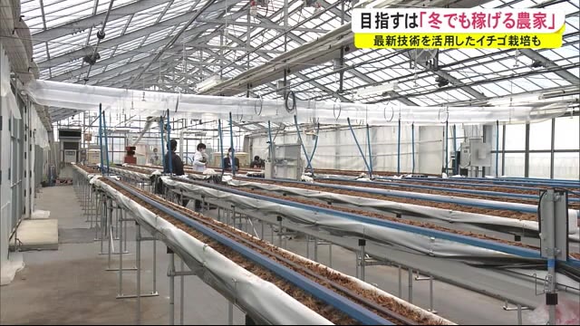 目指すは冬でも稼げる農家 最新技術を活用したイチゴ栽培も 秋田