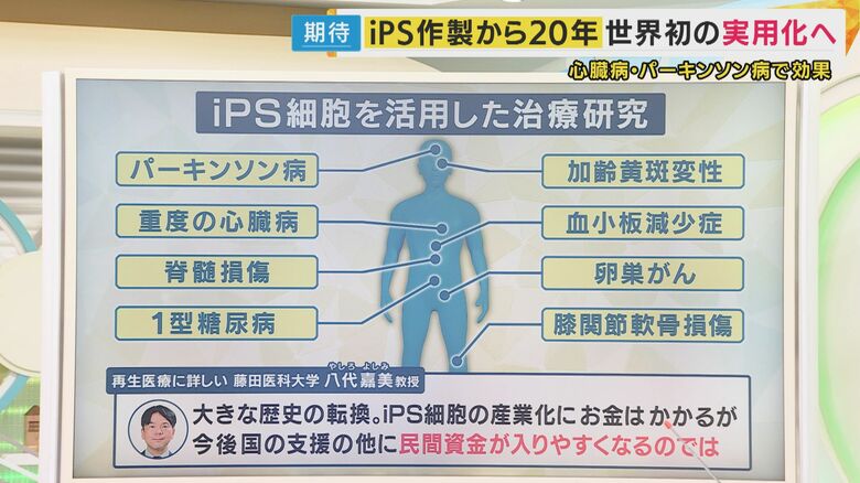 研究が進むiPS細胞の実用化
