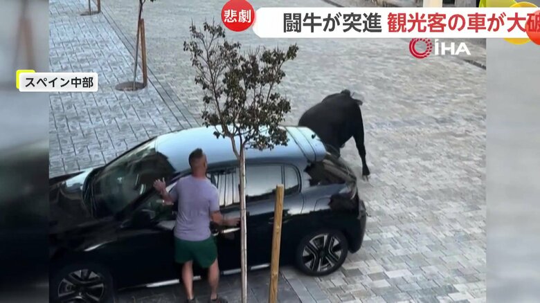 闘牛が止まっていた黒い車に向かって突進する一部始終②