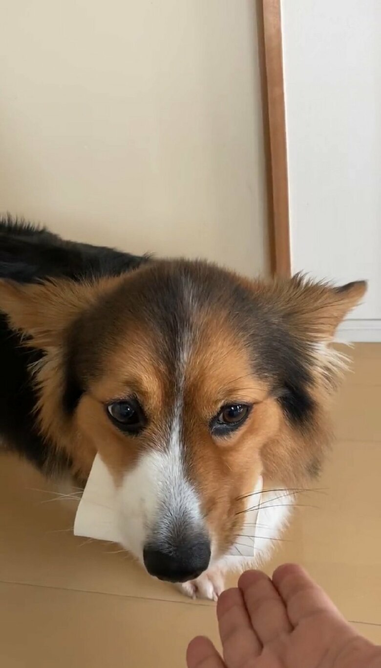 「返そうかな？」