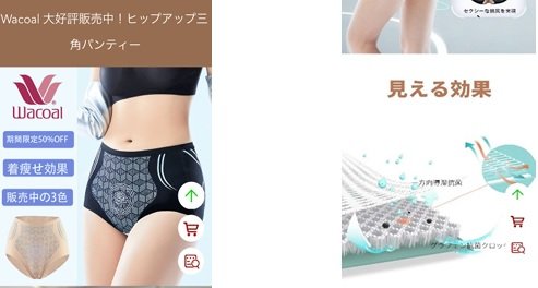 消費者庁が公開した偽サイト