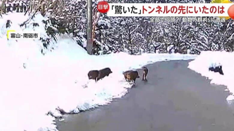 6日午後1時前、富山・南砺市