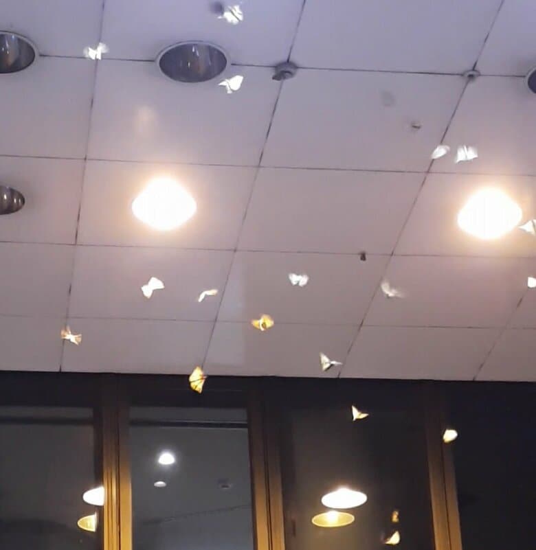 頭の上にもウジャウジャ