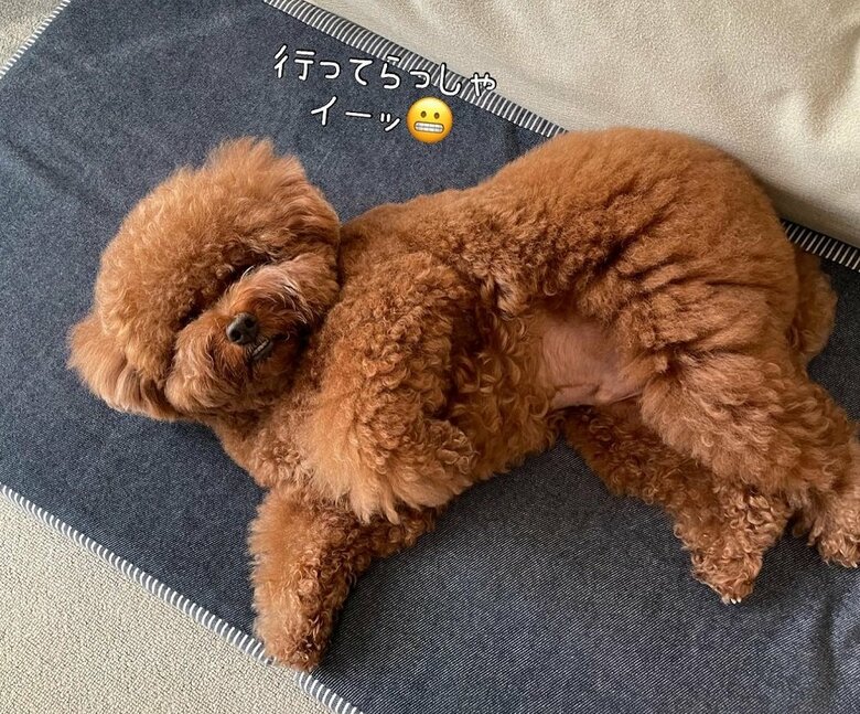 「いってらっしゃい」イーッのお顔でお見送り
