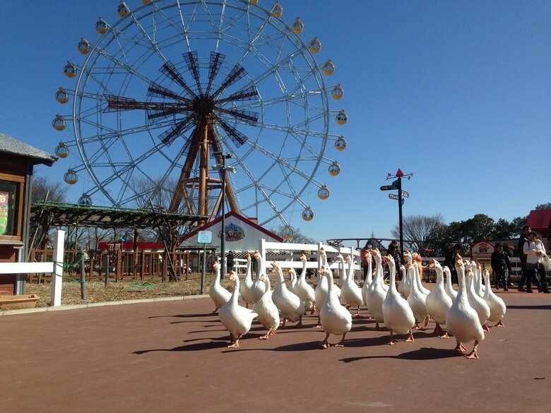 （提供：東武動物公園）