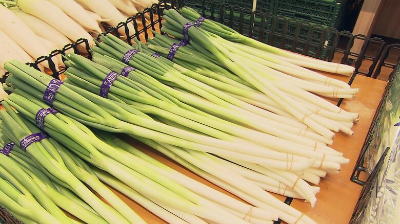 長ネギ3本で149円（税込み）