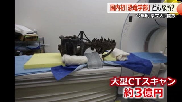 標本をCTスキャンをかけて解析