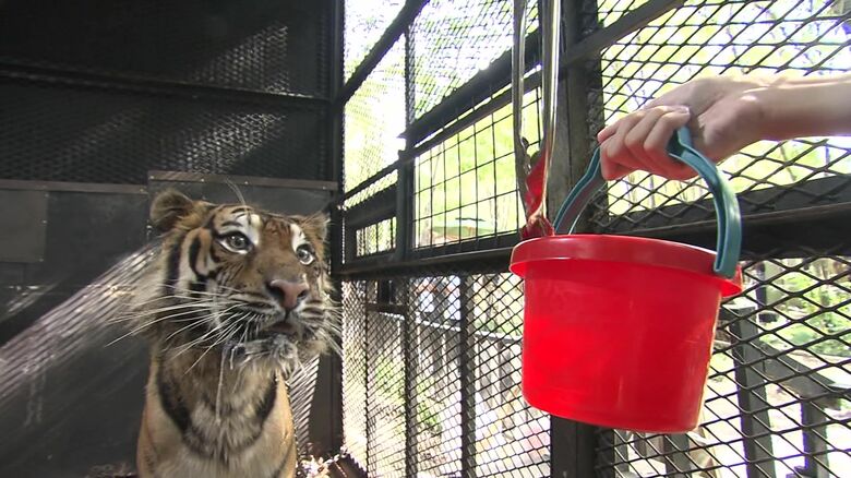 札幌市南区の動物園「ノースサファリサッポロ」（資料）