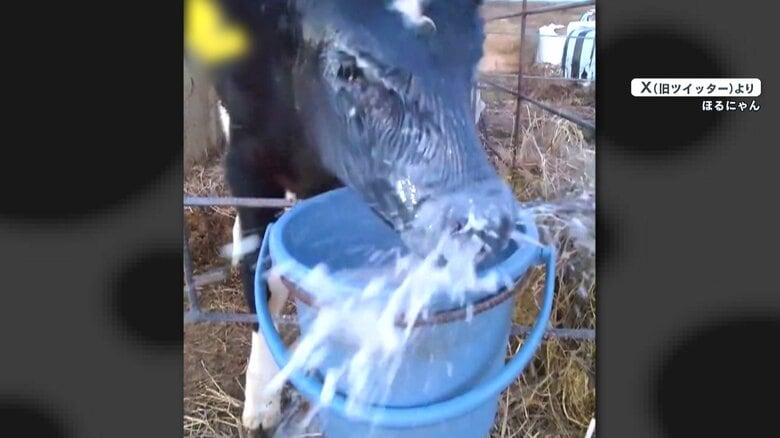 勢いよく鼻から吹き出すミルク