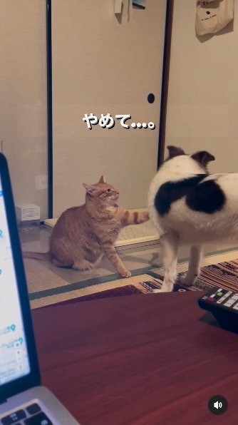 提供：naomiさん