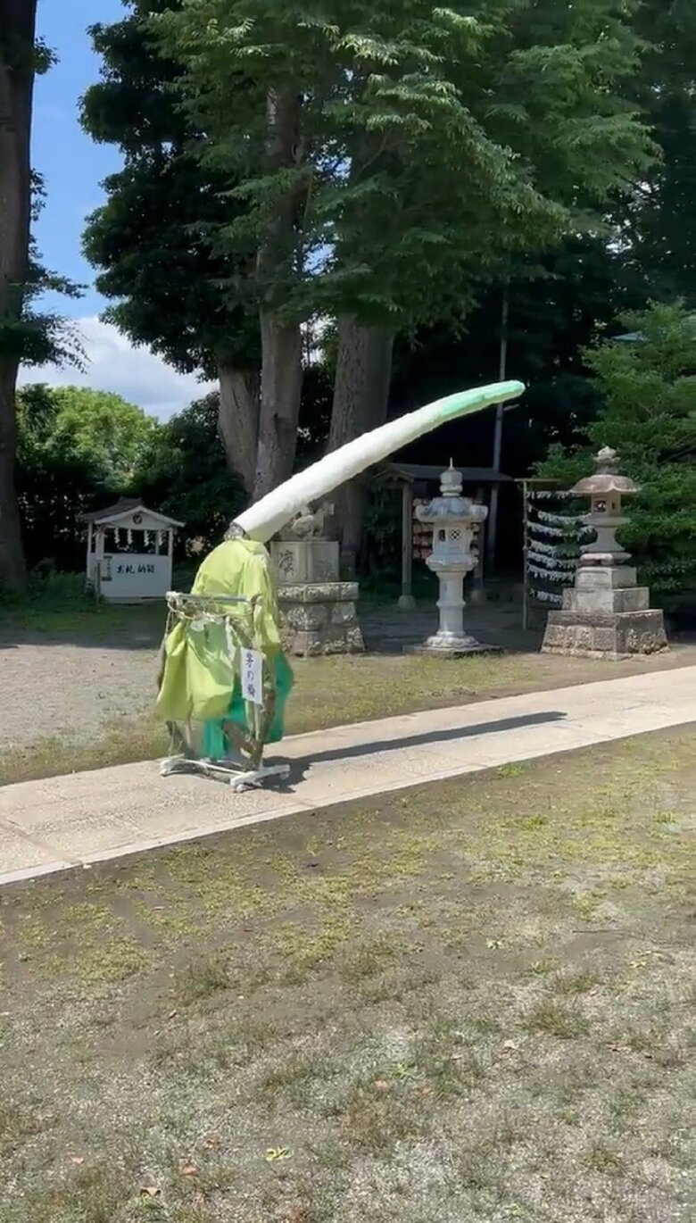 くぐった！
