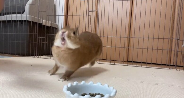 うおぉぉぉぉぉ！