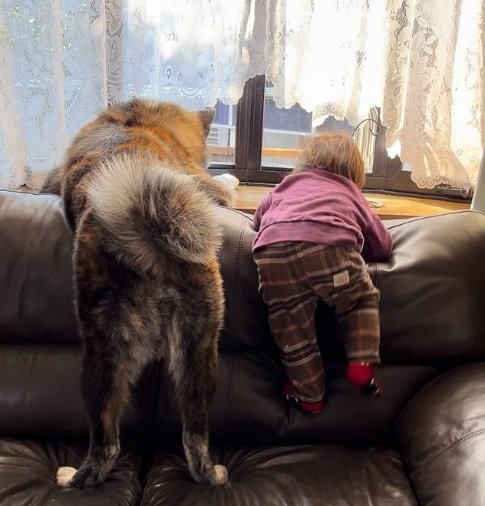 てんてんくんと快くん