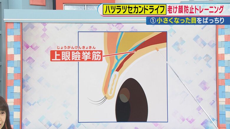 関西テレビ「旬感LIVEとれたてっ！」より