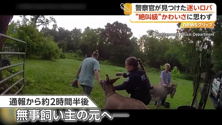通報から約2時間半後、無事に飼い主のもとへ帰ることができたロバ