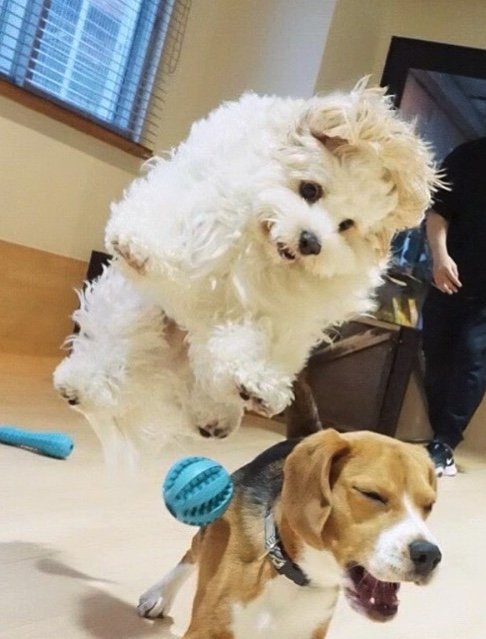 提供：宮原幸恵さん