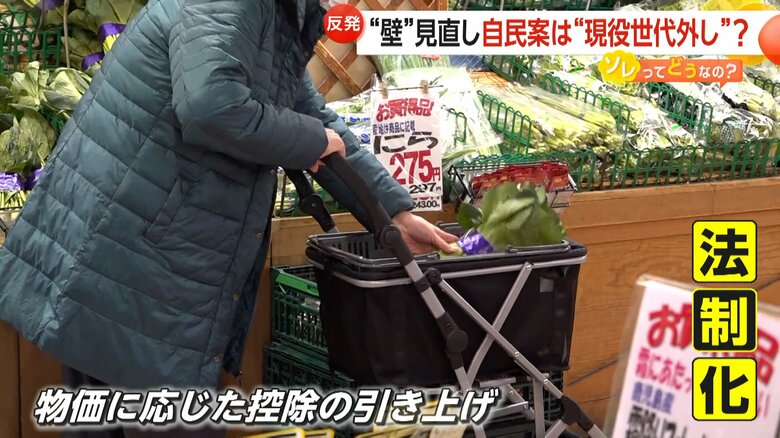 物価に応じた控除の引き上げを法制化することを求めた国民民主党