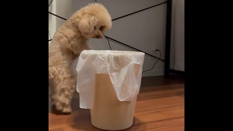 ほぼ1週してしまった