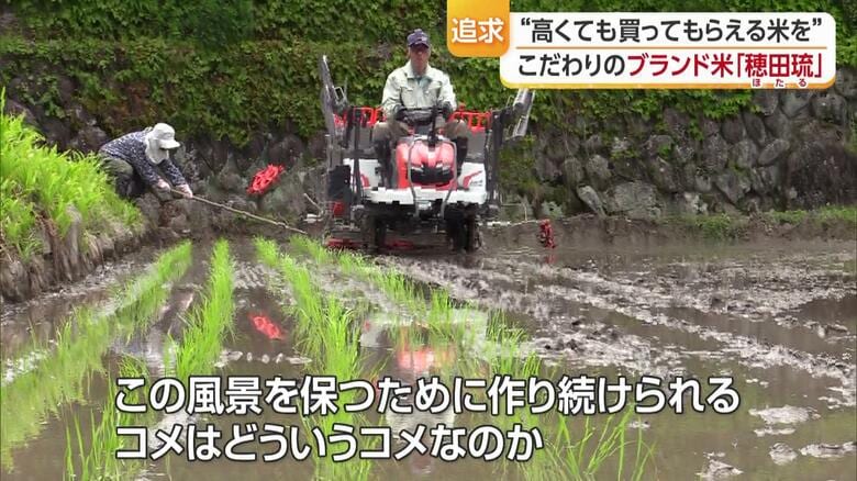 棚田でのコメ作りに取り組む坂本さん