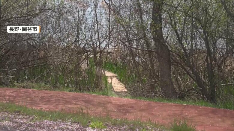 諏訪湖で撮影された歩道の脇に置かれた不審な木の板（長野・岡谷市）