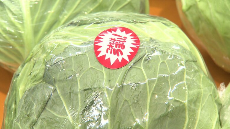 店頭に出ている北海道産のキャベツ