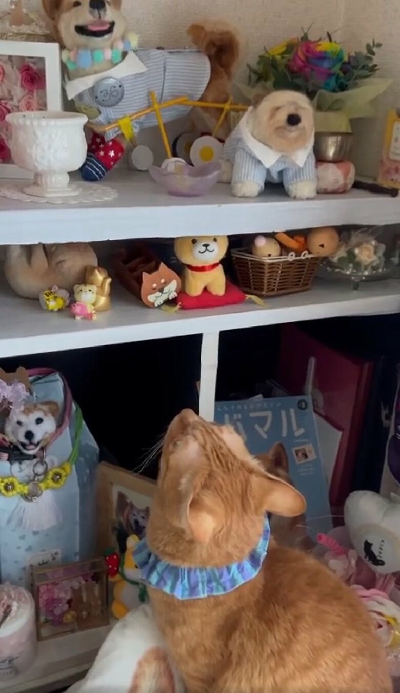 今でもエンくんを恋しく思っているのかもしれない