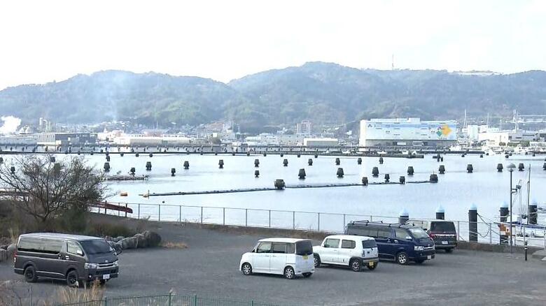 折戸湾の中を埋め尽くす謎物体