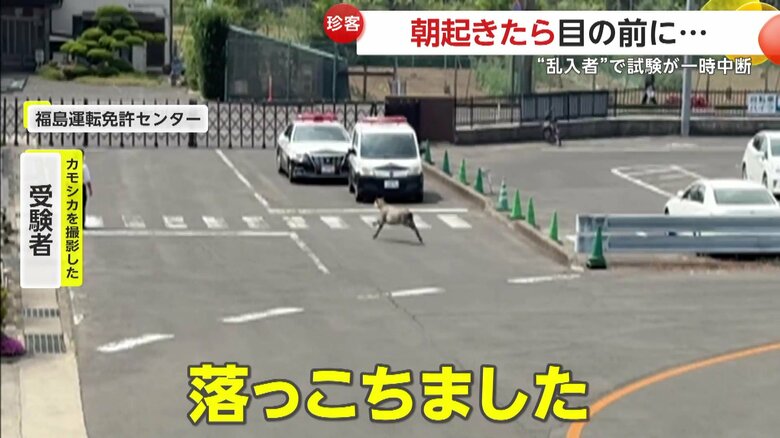 試験結果について「落っこちました」と語っている受験者