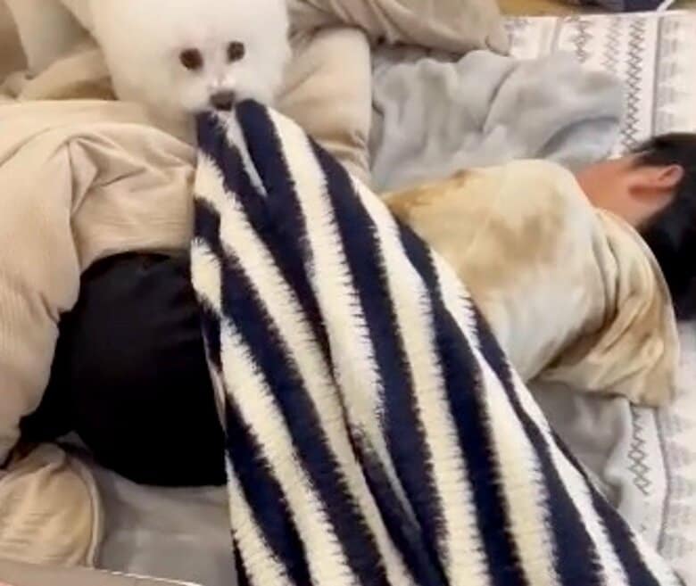 提供：エマ emmaさん