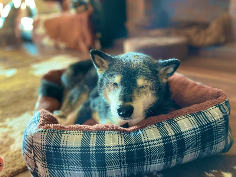 ゆっくりとまぶたを閉じる