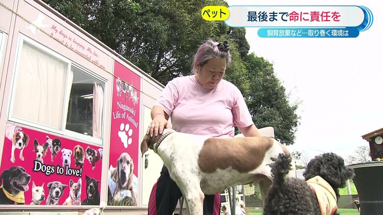 保護した約50匹の犬と暮らす