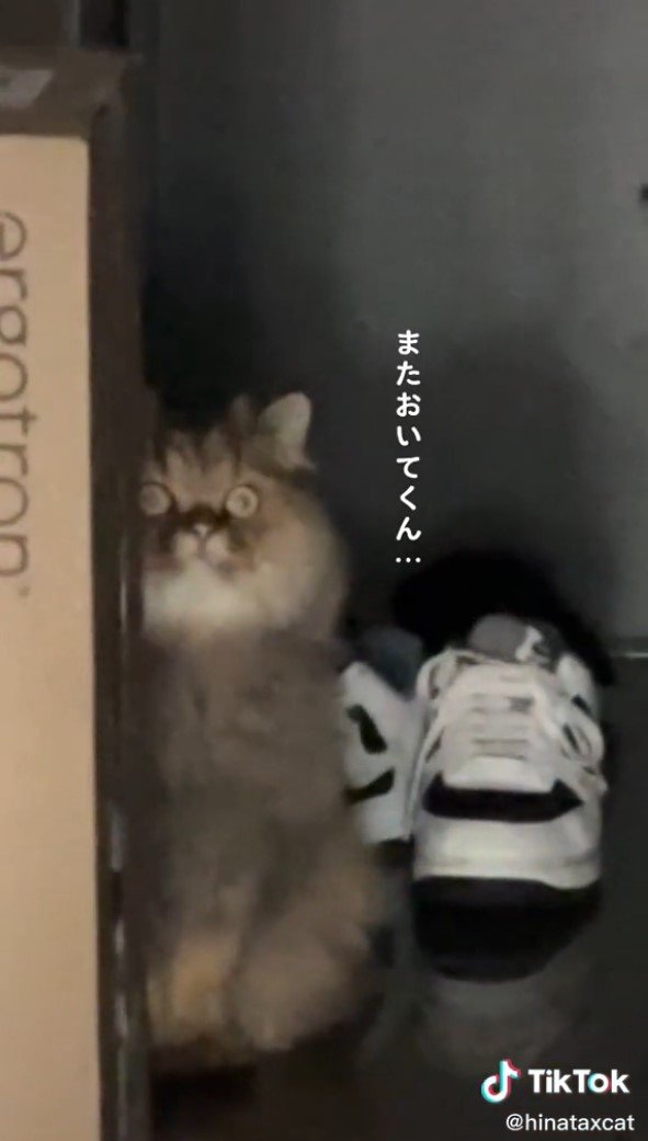 提供：ひなたさん