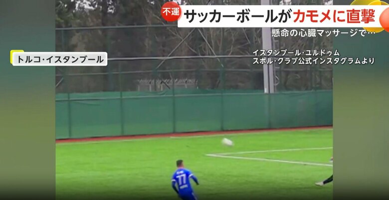 サッカーの試合中、ボールが空を飛んでいたカモメに直撃する瞬間（2月、トルコ・イスタンブール）③