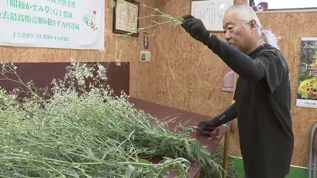 昭和かすみ草部会の部会長・立川幸一さん