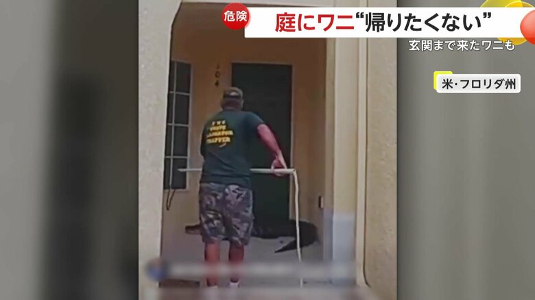 「ごめんください」と言わんばかりにドアにもたれかかっているワニ