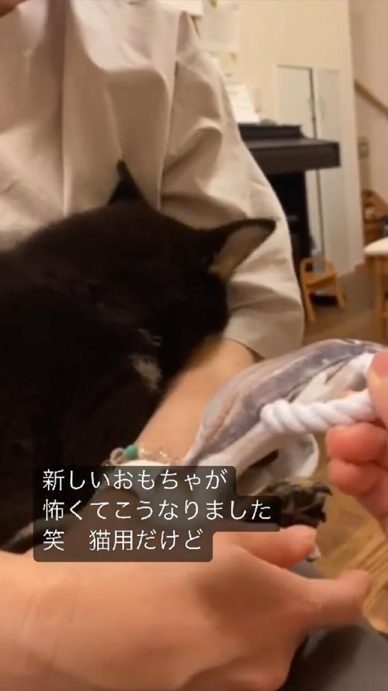 顔をうずめる姿がかわいい