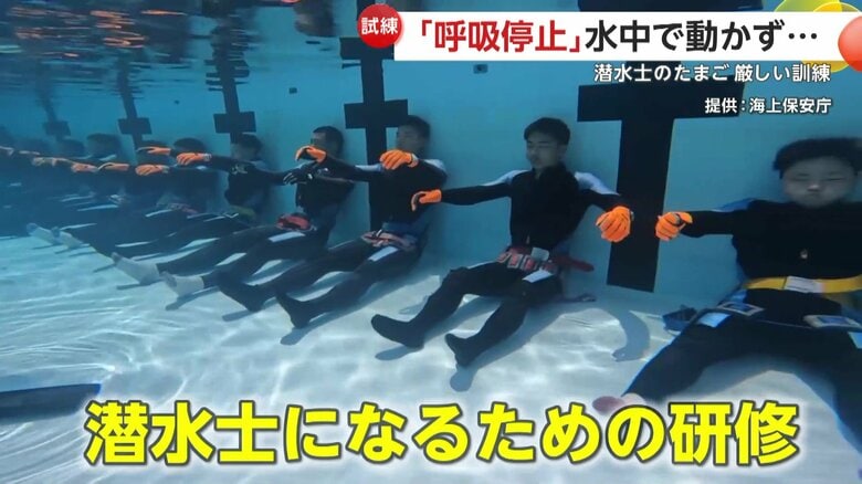 海難事故が発生した際に救助にあたる潜水士を育てる訓練風景